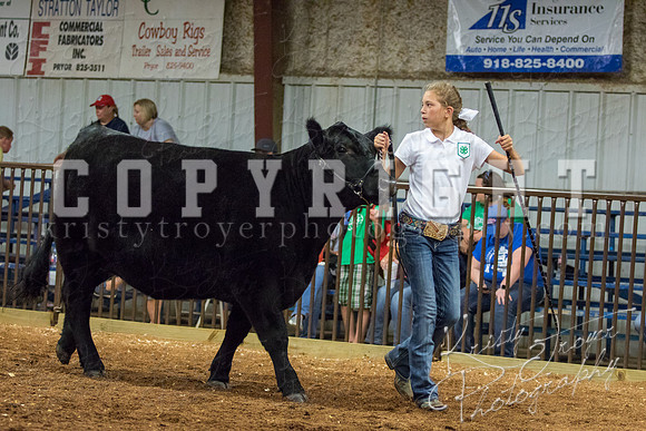 MAYES_COUNTY_FAIR_heifer-4124