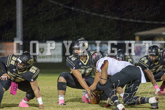 salina_vs_hollandhall_football-9654