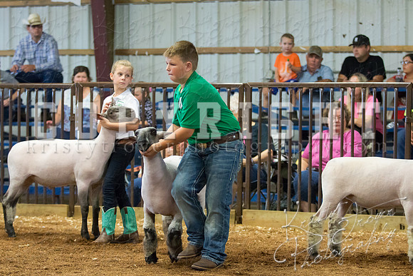 MAYES_COUNTY_FAIR_SHEEP-2876