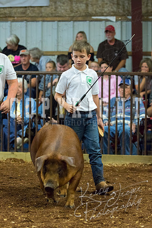 MAYES_COUNTY_FAIR_Swine-9476