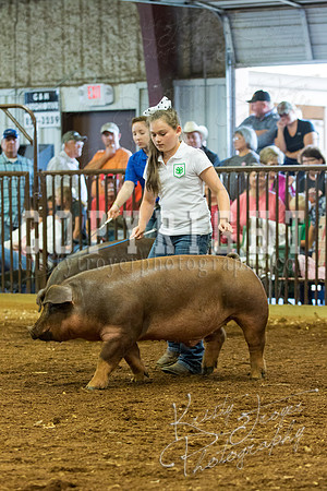 MAYES_COUNTY_FAIR_Swine-9540