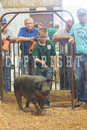 MAYES_COUNTY_FAIR_Swine-9561