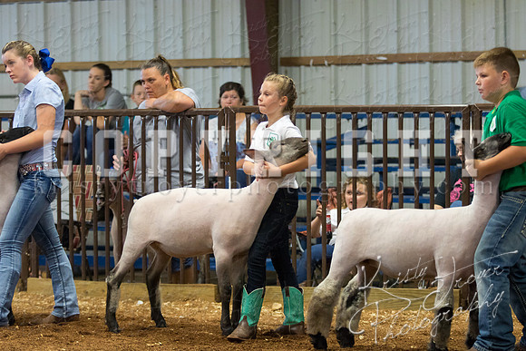 MAYES_COUNTY_FAIR_SHEEP-2868