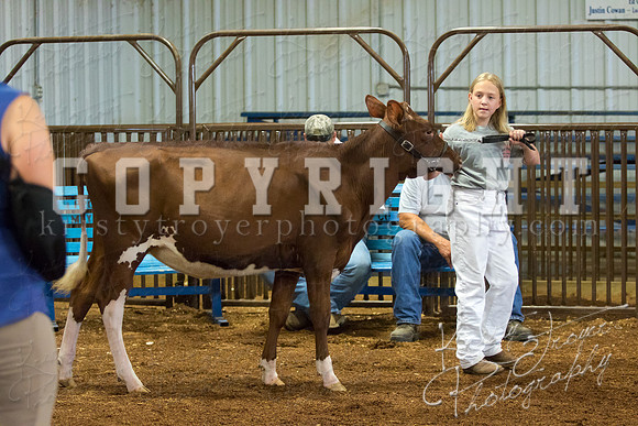 MAYES_COUNTY_FAIR_DAIRY-3396