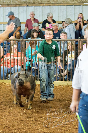 MAYES_COUNTY_FAIR_Swine-9546