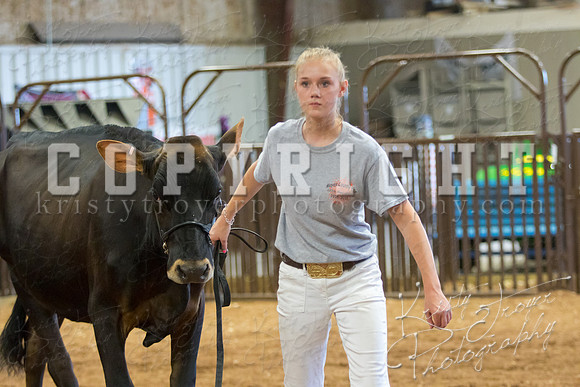 MAYES_COUNTY_FAIR_DAIRY-3461