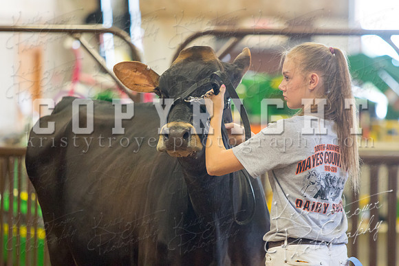 MAYES_COUNTY_FAIR_DAIRY-3456