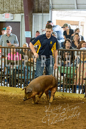MAYES_COUNTY_FAIR_Swine-9487