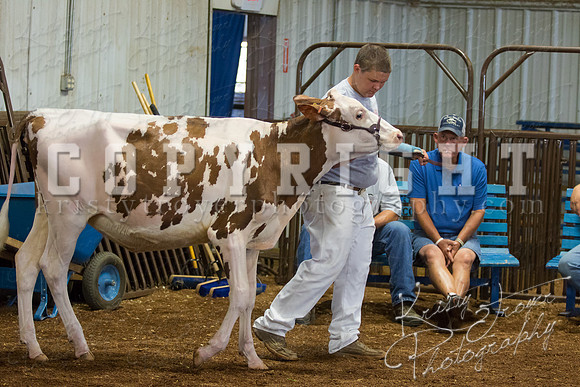 MAYES_COUNTY_FAIR_DAIRY-3352