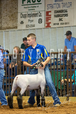 MAYES_COUNTY_FAIR_SHEEP-2948