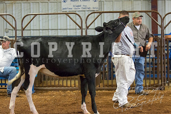 MAYES_COUNTY_FAIR_DAIRY-3339