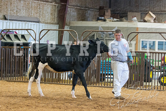 MAYES_COUNTY_FAIR_DAIRY-3342
