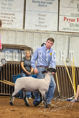 MAYES_COUNTY_FAIR_SHEEP-2961
