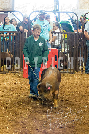 MAYES_COUNTY_FAIR_Swine-9486