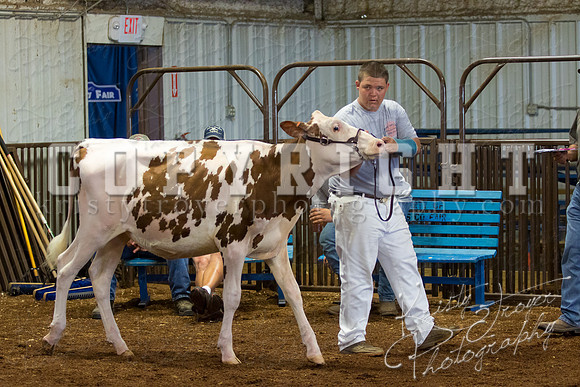 MAYES_COUNTY_FAIR_DAIRY-3329