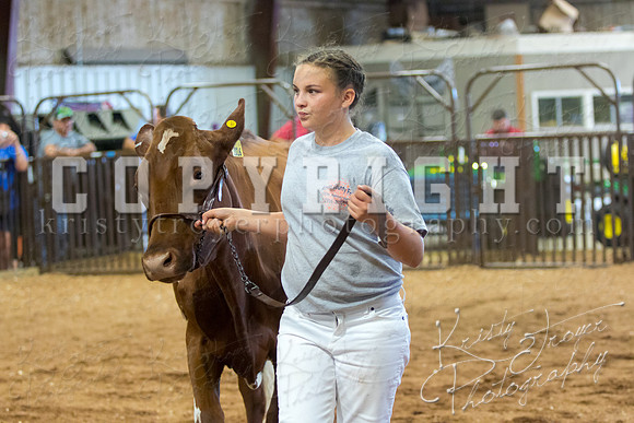 MAYES_COUNTY_FAIR_DAIRY-3407