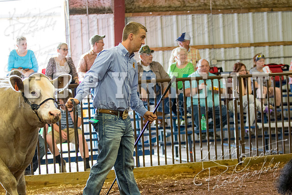 MAYES_COUNTY_FAIR_steer-3914