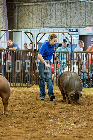MAYES_COUNTY_FAIR_Swine-9543