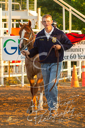 IMG_9897©KRISTYTROYER