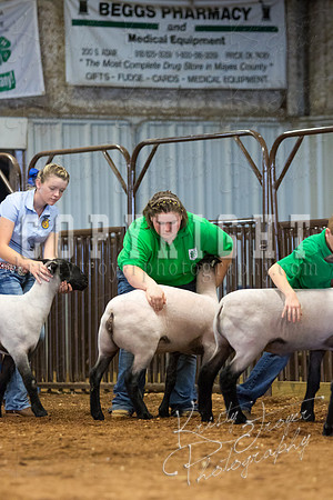 MAYES_COUNTY_FAIR_SHEEP-3096