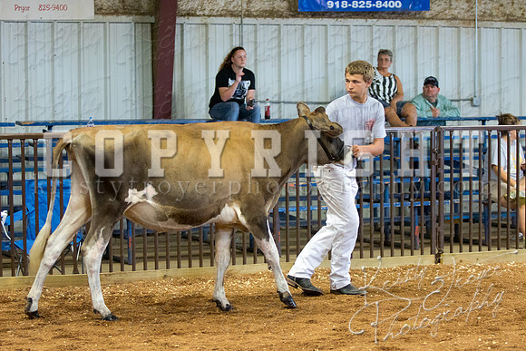 MAYES_COUNTY_FAIR_DAIRY-3371