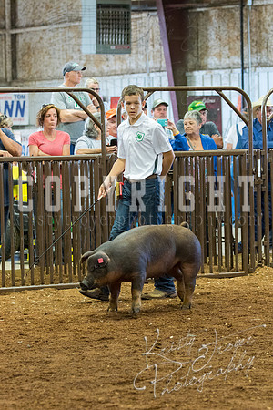 MAYES_COUNTY_FAIR_Swine-9506