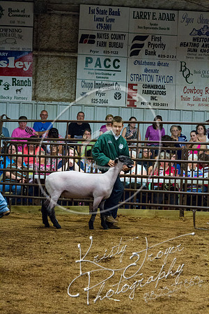 IMG_0114©KRISTYTROYER