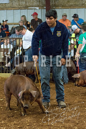 MAYES_COUNTY_FAIR_Swine-9467