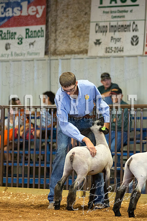 MAYES_COUNTY_FAIR_SHEEP-2934