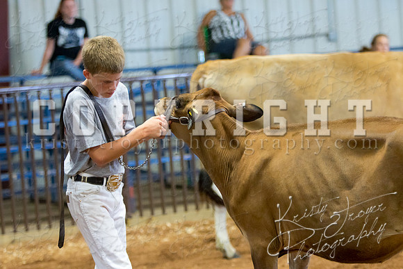 MAYES_COUNTY_FAIR_DAIRY-3387