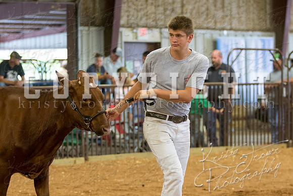 MAYES_COUNTY_FAIR_DAIRY-3431